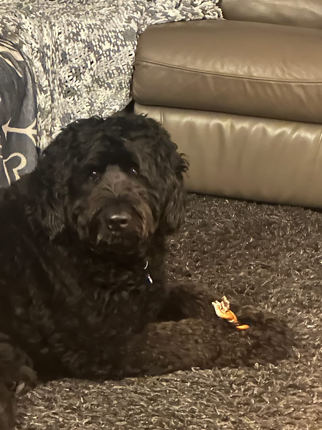 Customer photo review of Large Bully Stick Ring