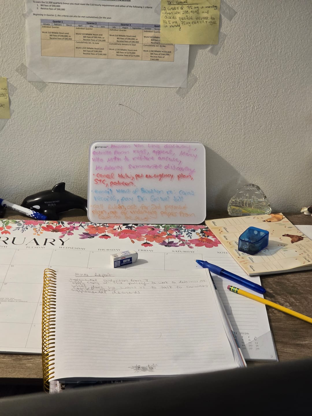 Customer photo review of DeskBoard Buddy Mini