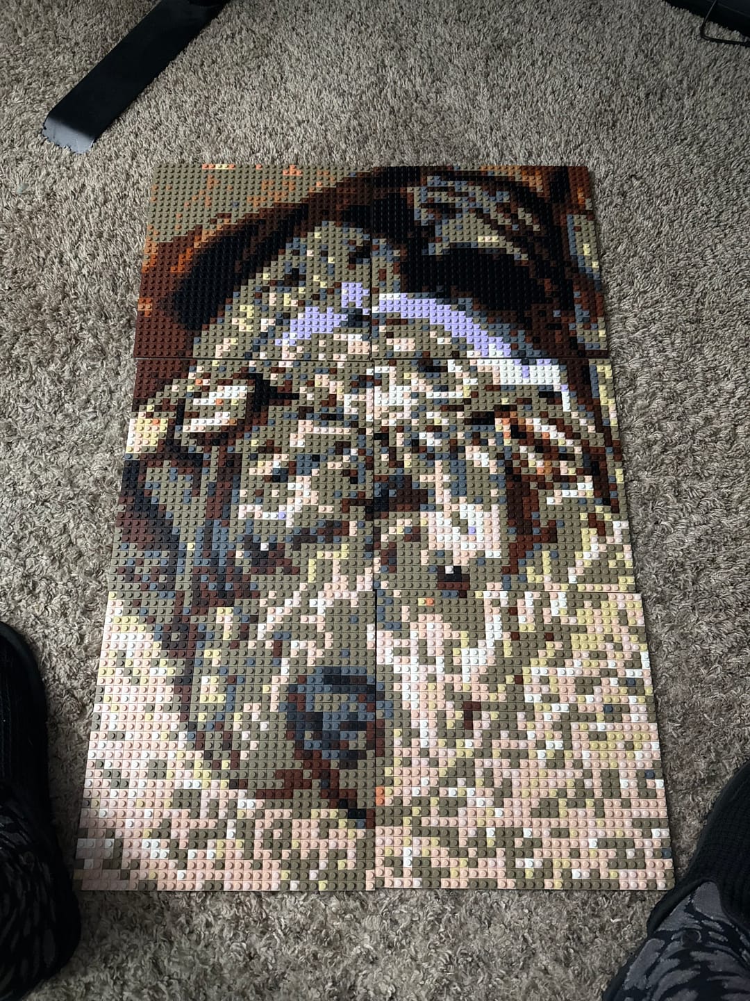 Customer photo review of Custom Bricked Mosaic Portrait 20x30"