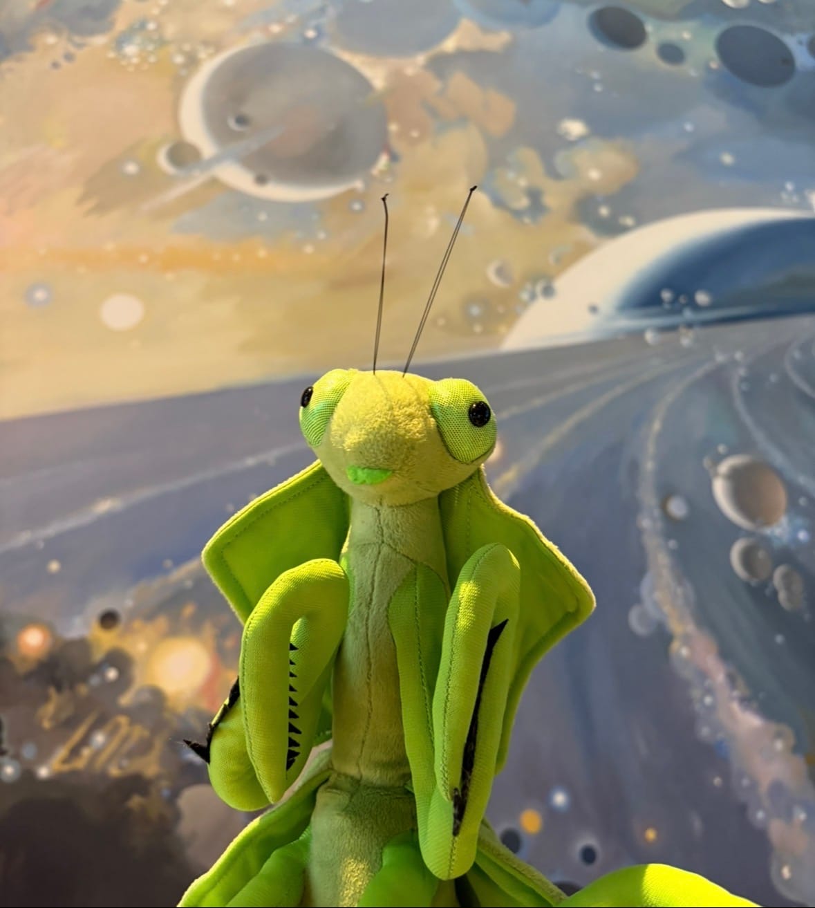 Customer photo review of Shield Mantis Soft Stuffed Plush Toy