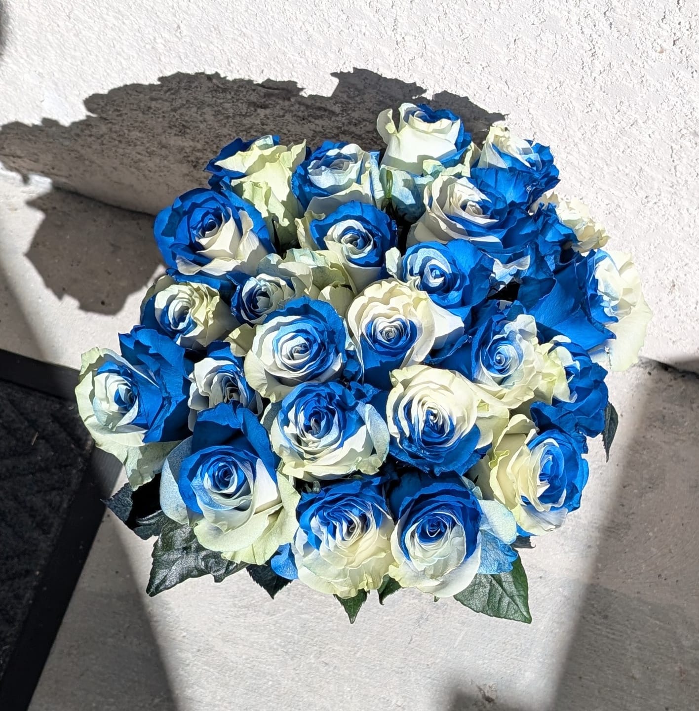 Customer photo review of Blue & White Roses