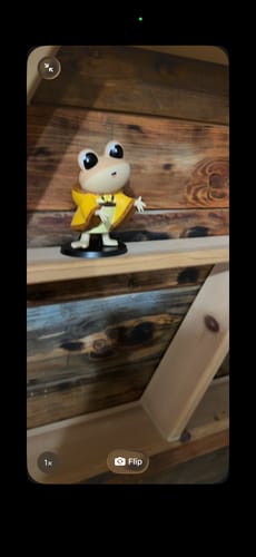 Customer photo review of Don Coquí | Figura de Vinil Coleccionable