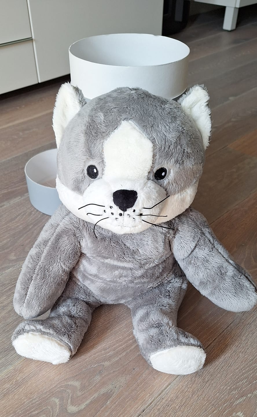 Customer photo review of Lotgenootje Kat 2kg