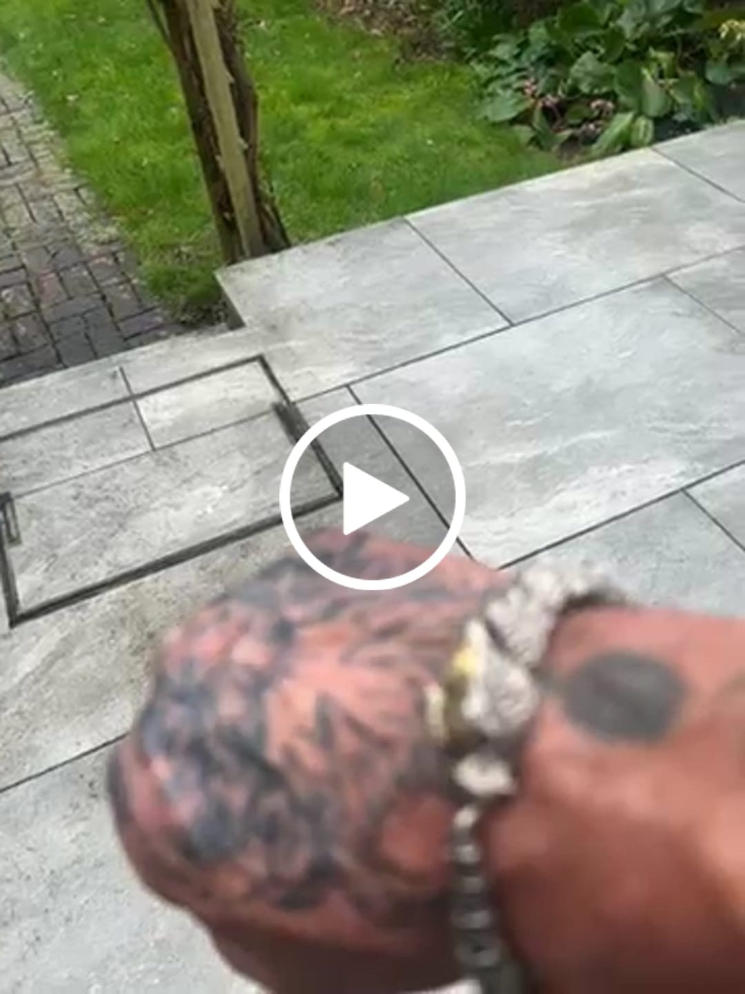 Customer video review of JÖRMUNGANDR - The World Serpent Bracelet | Handcrafted Stainless Steel Viking Jewelry