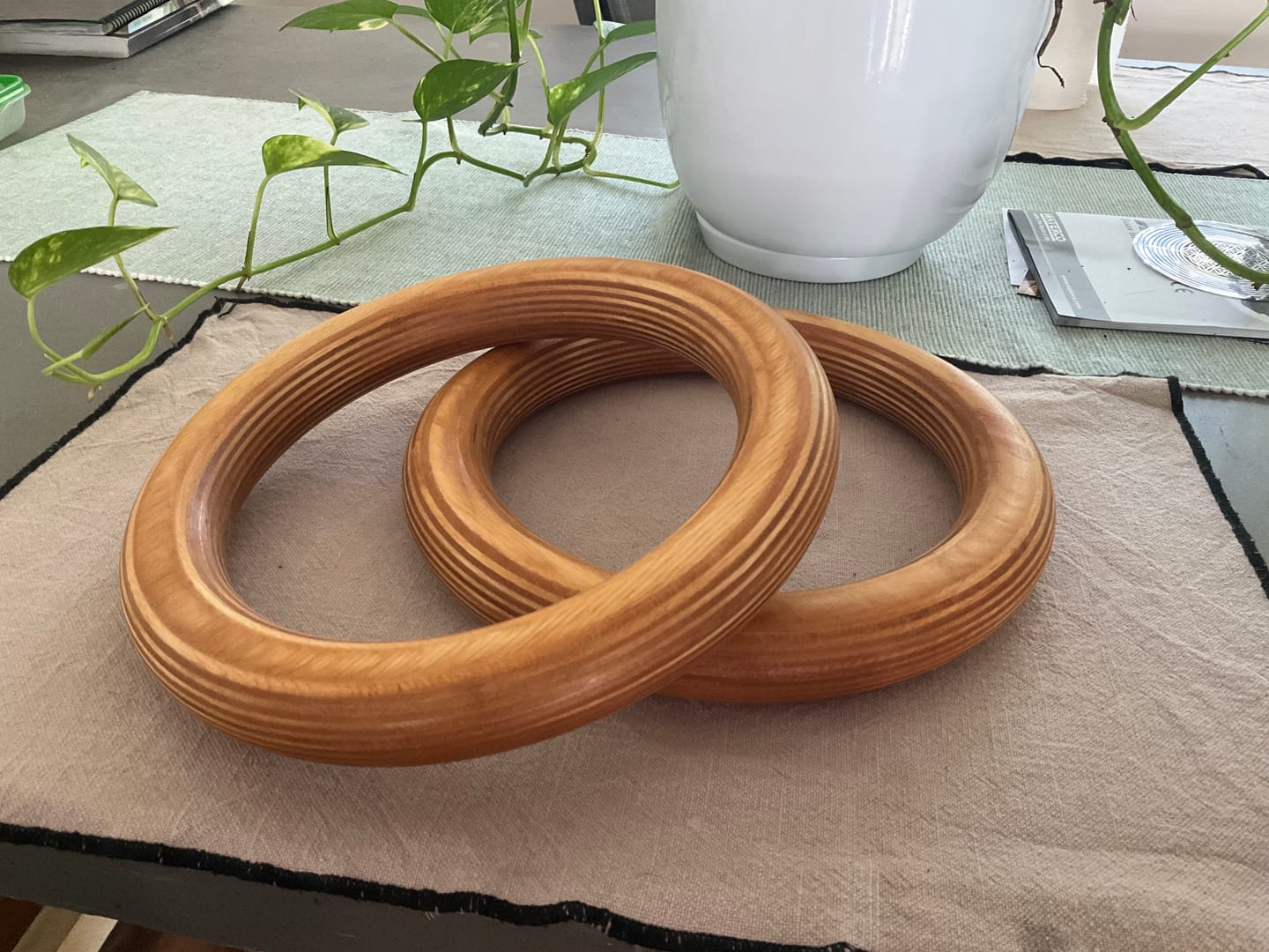 Customer photo review of Wood Gymnastic Rings