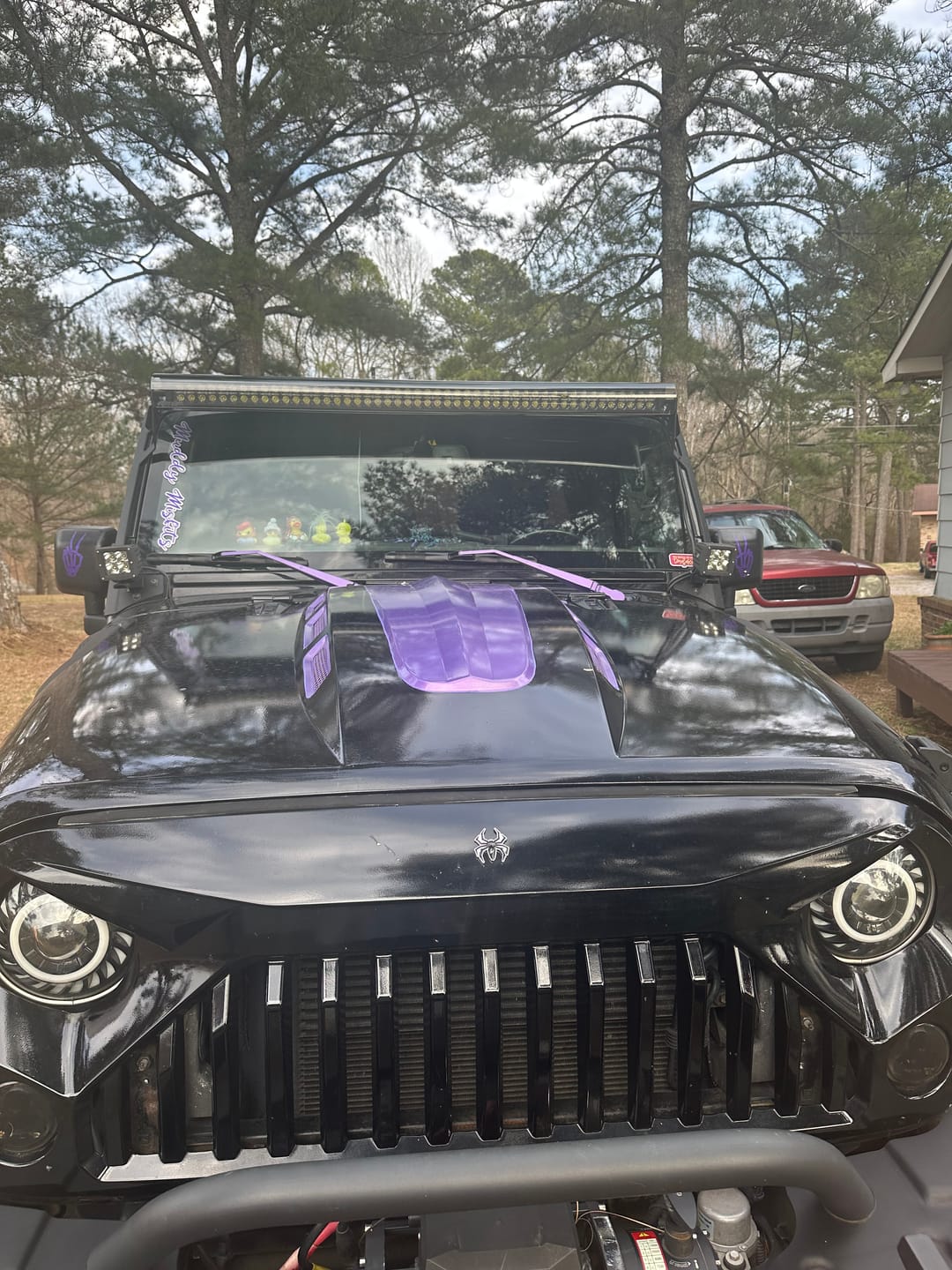 Customer photo review of Light Bar Cover | Dual Row 52"