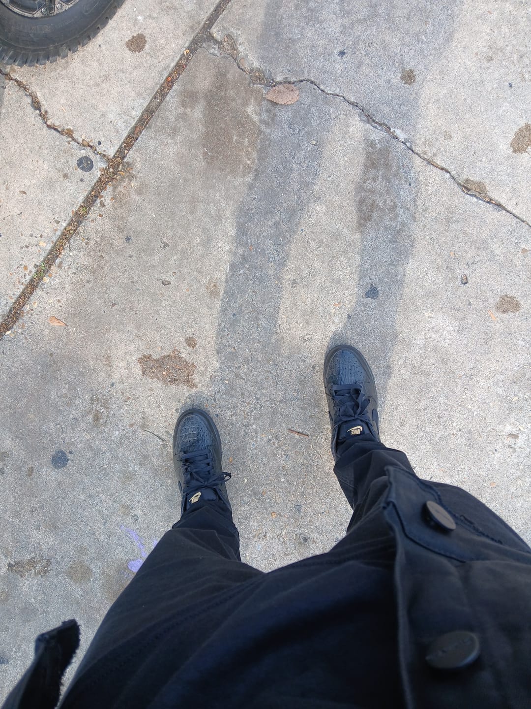 Customer photo review of Nike Dunk Low "Black Croc" - Women's