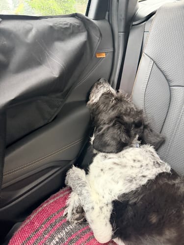 Customer photo review of LOGO FISHERMAN BEANIE.