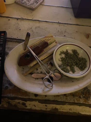 Customer's White Runtz product on a plate, with some ground in a bowl and some in a partially smoked roll held by forceps.