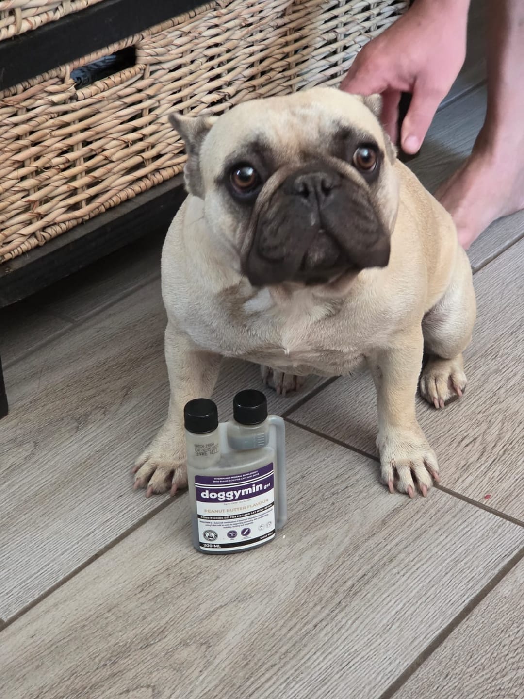 Customer photo review of Doggymin (Skin & Immunity Support For Dogs)