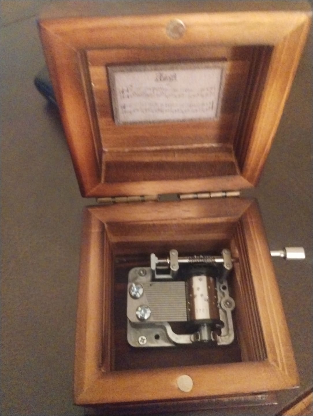 Customer photo review of Phasmophobia Music Box