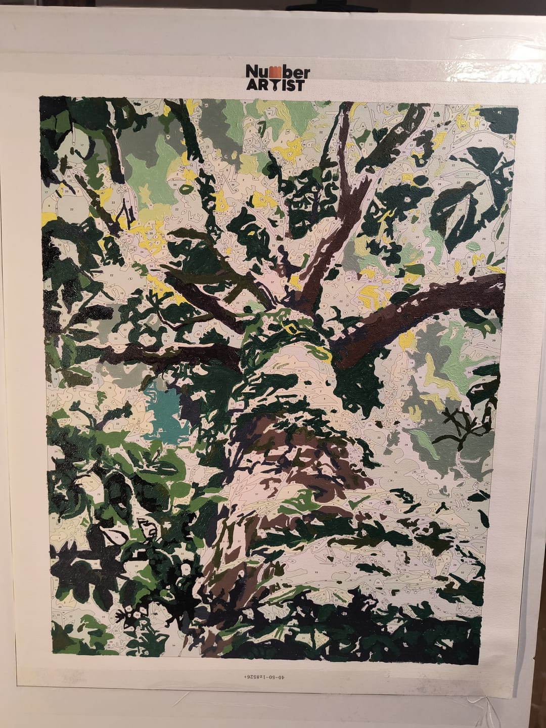 Customer photo review of Endless Climb