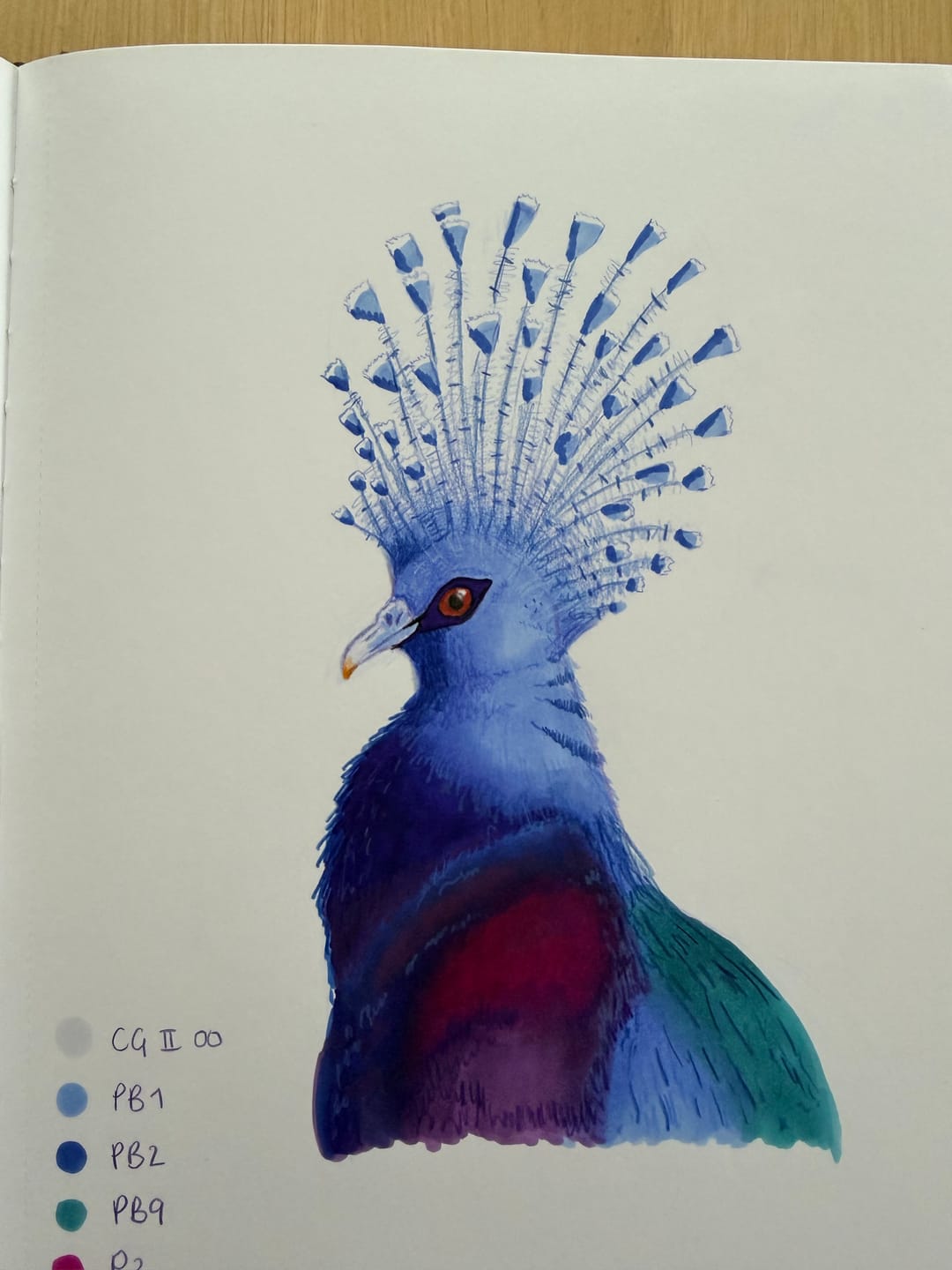 Customer photo review of Ohuhu Marker Pads Art Sketchbooks for Markers, 2 Pack