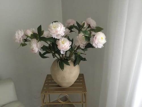 Customer photo review of Pivoines - Rose Pâle (6 tiges / 18 têtes de fleurs)