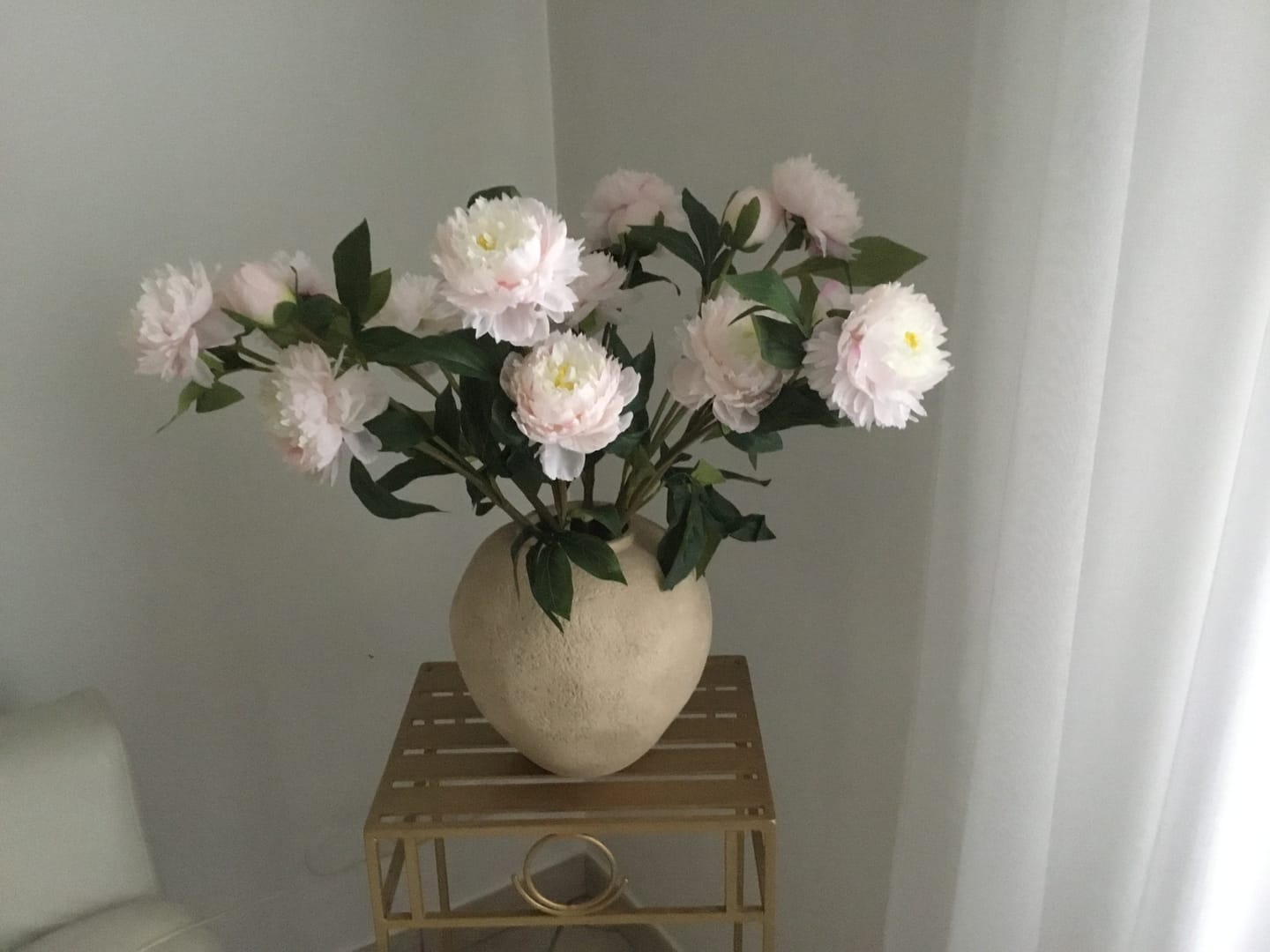 Customer photo review of Pivoines - Rose Pâle (6 tiges / 18 têtes de fleurs)