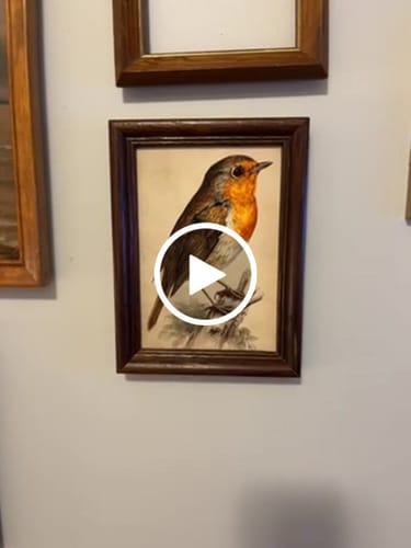 Customer video review of 5x7 Mounted Prints