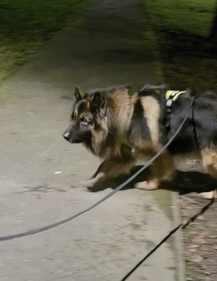 Customer photo review of 10m Recall Billowthane® Lead | Waterproof - Matte Black