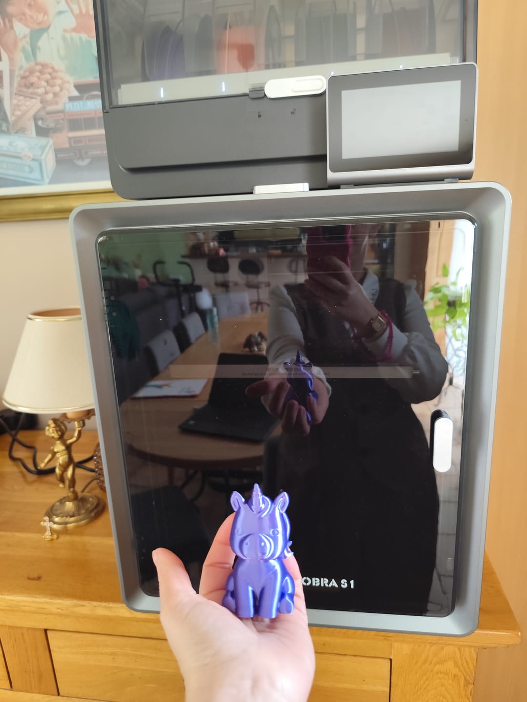 Customer photo review of Anycubic Kobra S1 Combo