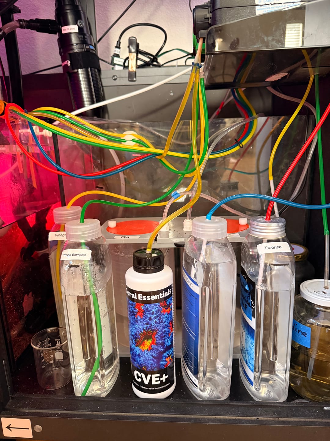 Customer photo review of Coral Essentials CVE+