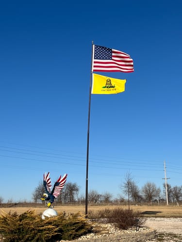 Customer photo review of 4' x 6' American Flag