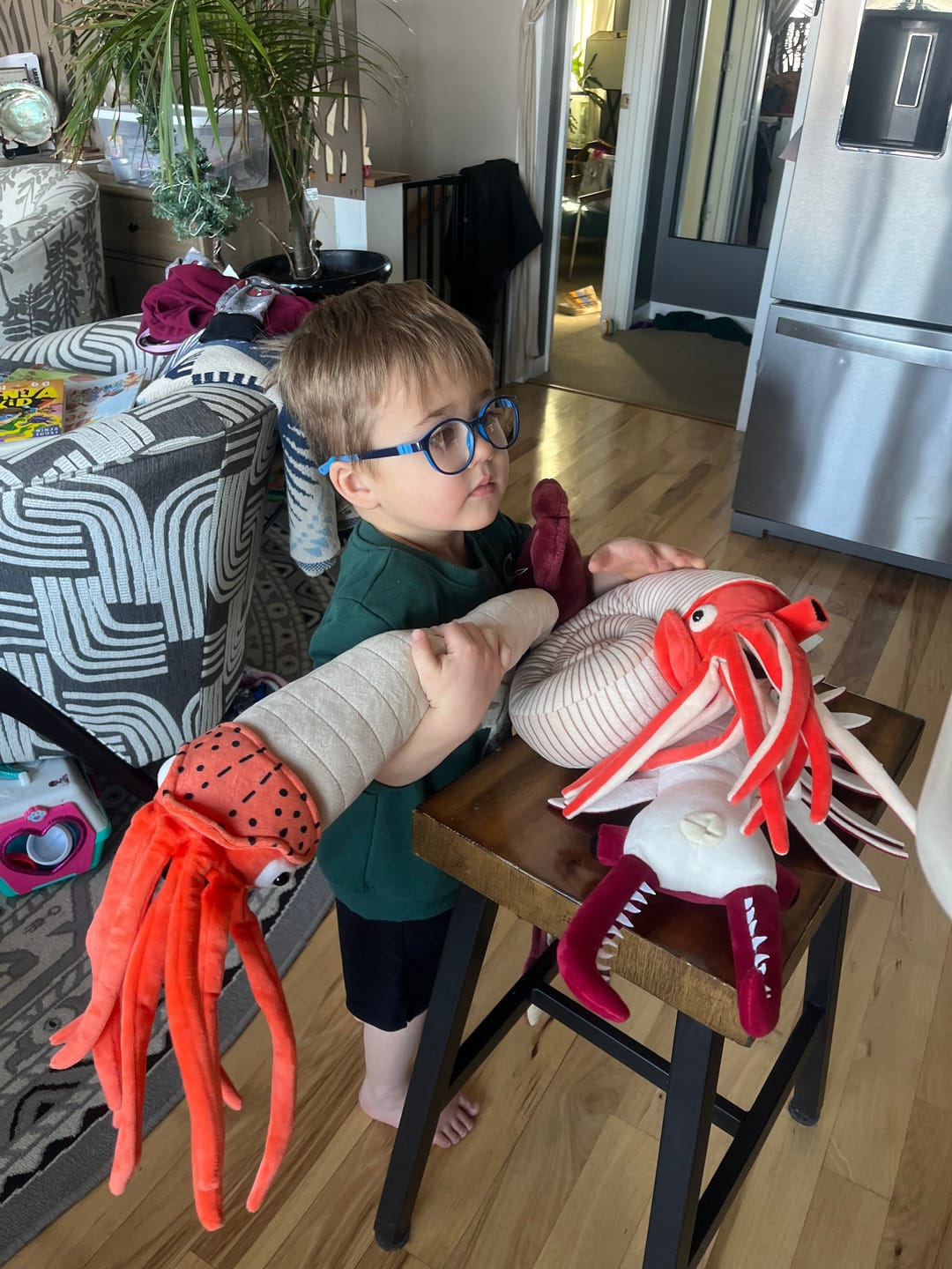 Customer photo review of Anomalocaris Arthropod Soft Stuffed Plush Toy