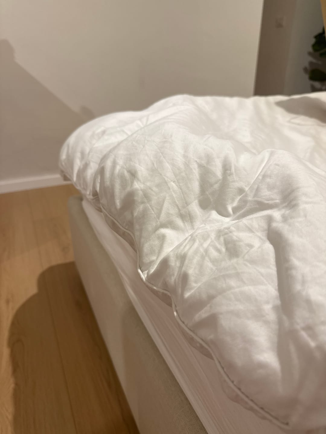 Customer photo review of מגן מזרן