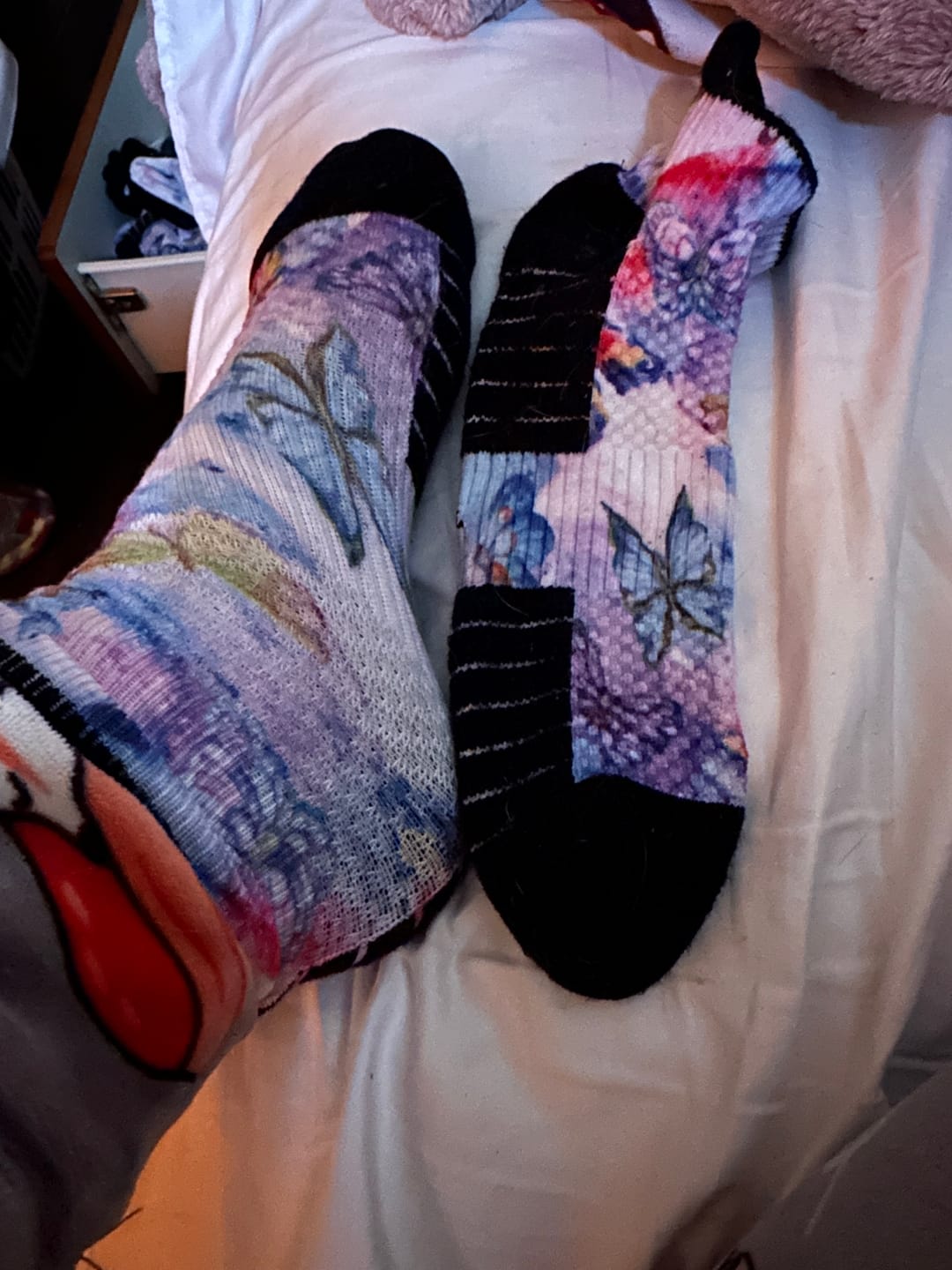 Customer photo review of Pet Garden Ankle Compression Socks 5-Pack Bundle