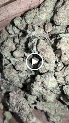 Customer video review of King Louis XIII - 28 Grams - Indica