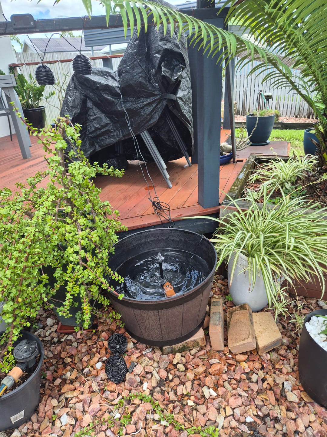 Customer photo review of Solar Fountain Pump & Panel w/ Inbuilt Battery - 250LPH