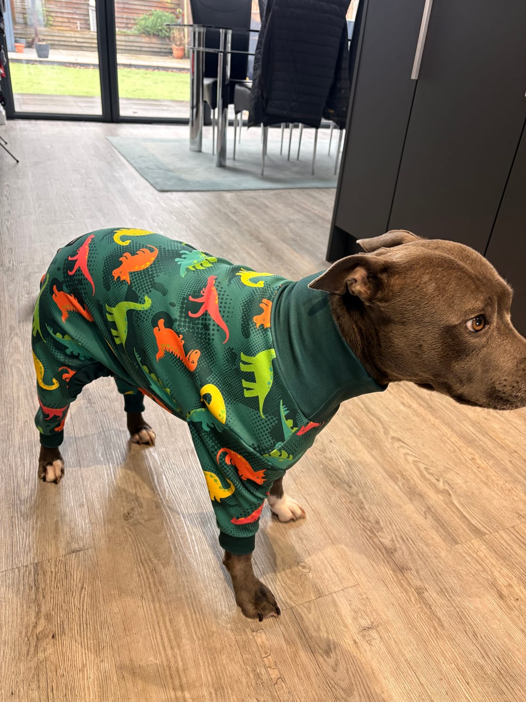 Customer photo review of Dog Pajama - Dinosaurs