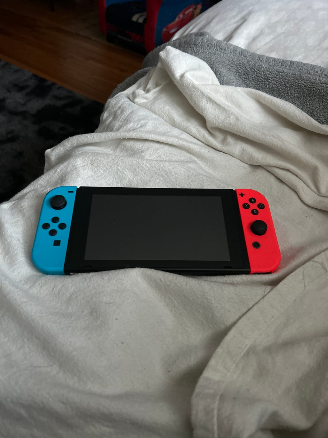 Customer photo review of Plenbo Medium-sized Carry Case
