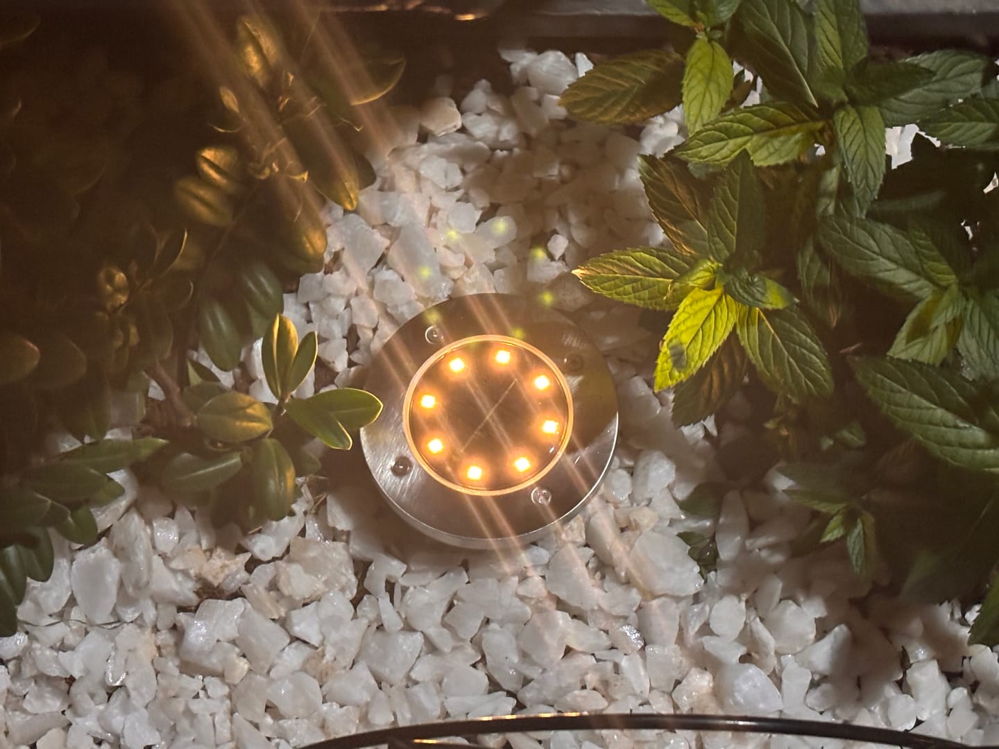 Customer photo review of Set de 4 Estacas Acero Inoxidable Solar - Luz Cálida o Fría / IP65