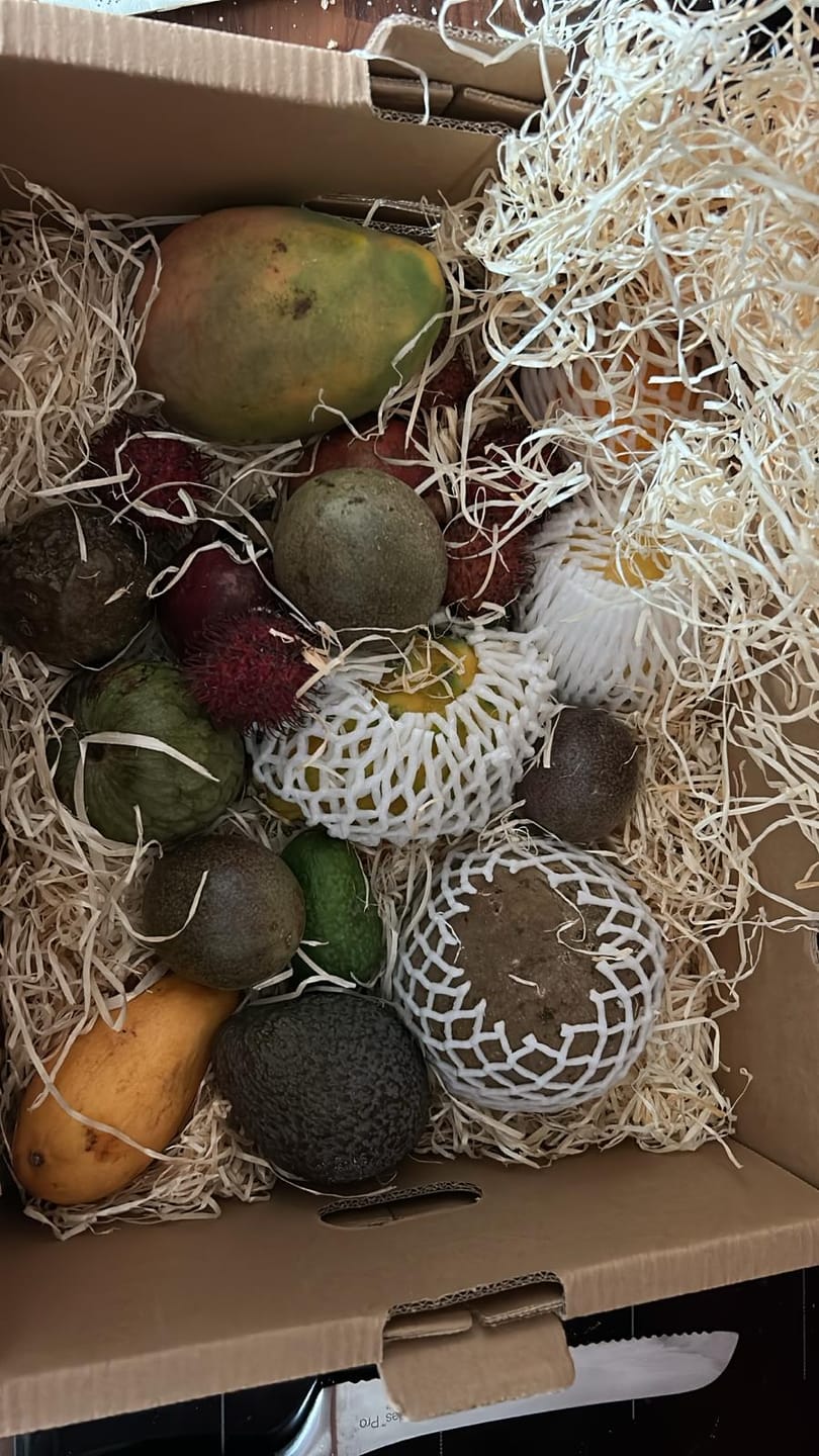 Customer photo review of Tropenreise Südamerika Box