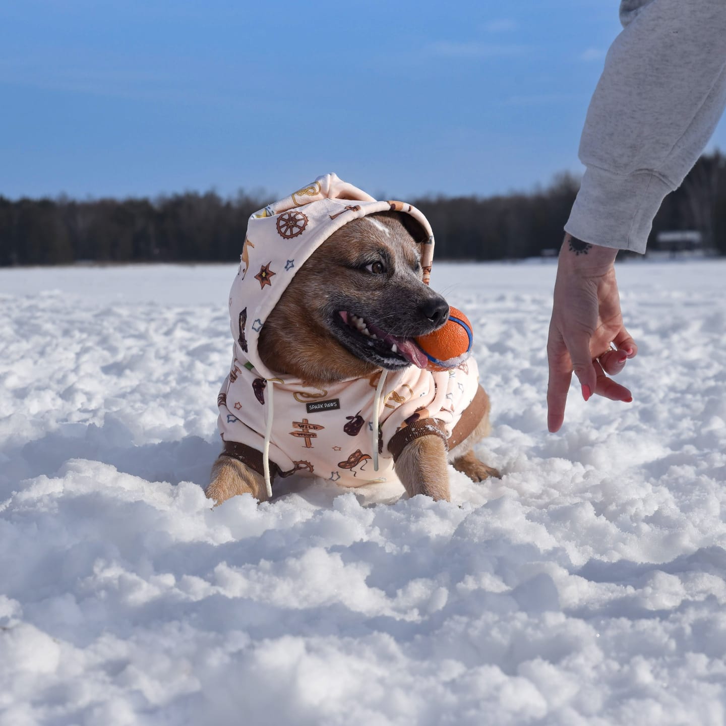 Customer photo review of Rodeo Dog Hoodie