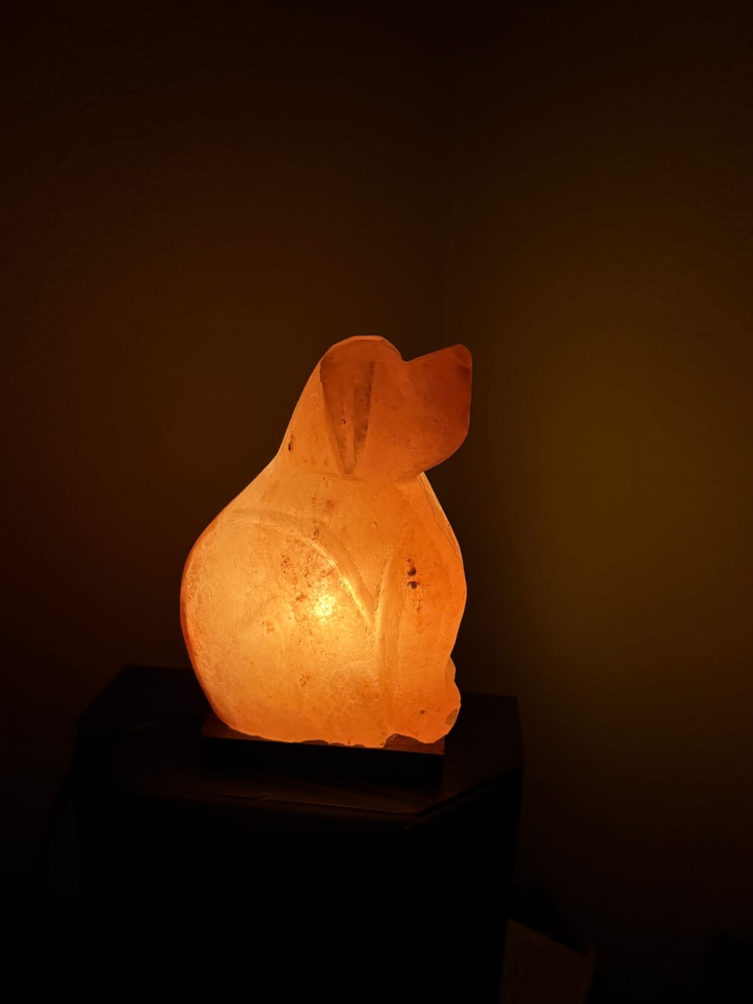 Customer photo review of Dog Himalayan Salt Lamp