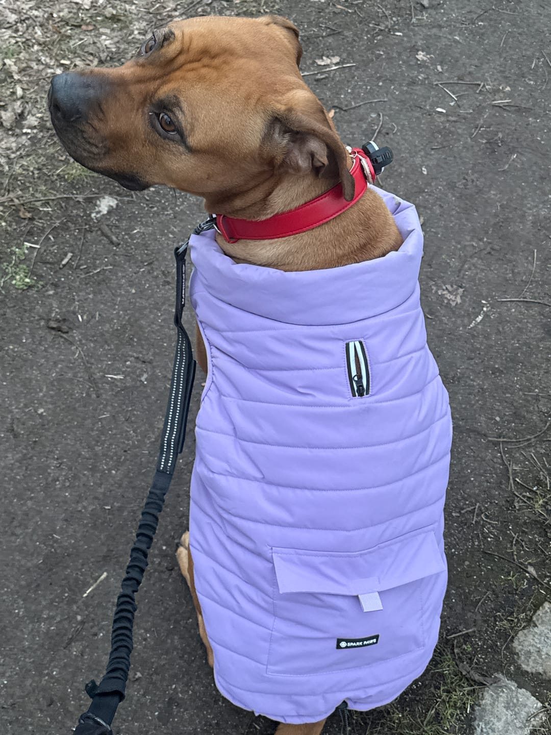 Customer photo review of WarmShield Water-Resistant Jacket - Lilac