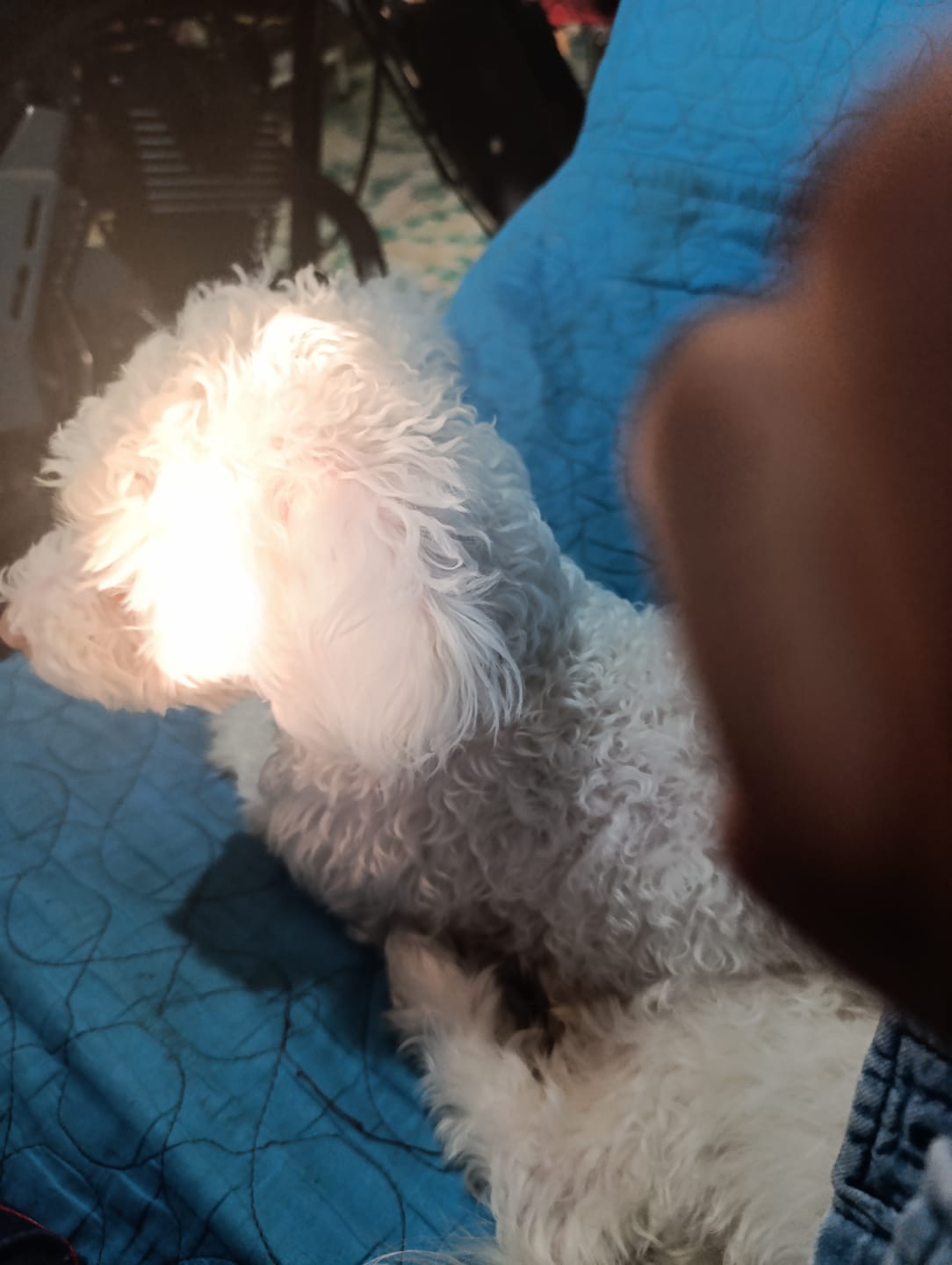 Customer photo review of The SolarBalls Planet X Plush