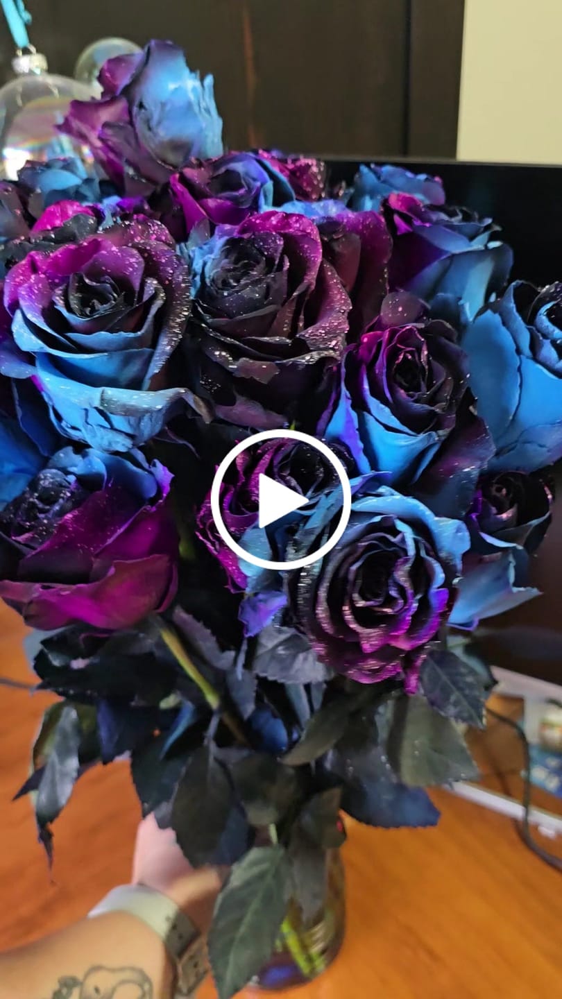 Customer video review of Starry Galaxy Roses