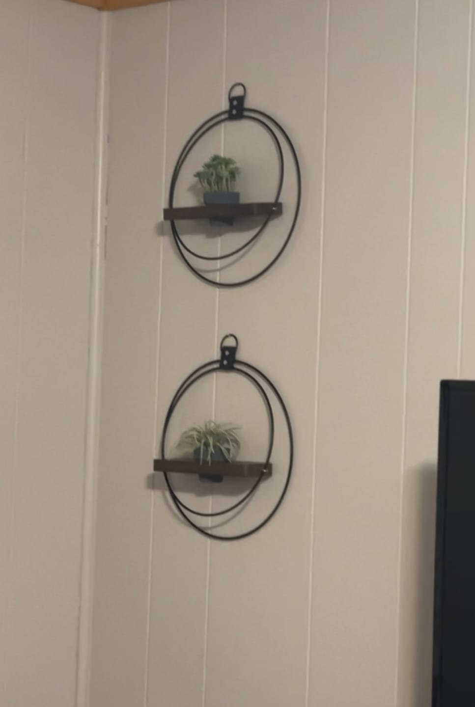 Customer photo review of Air Plant Shelf + Pot Trio