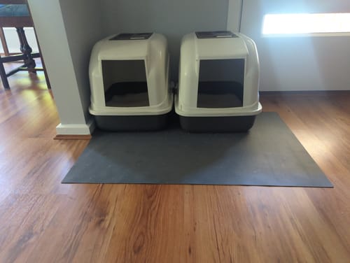 Customer photo review of 3 Month Supply - 2 Cats