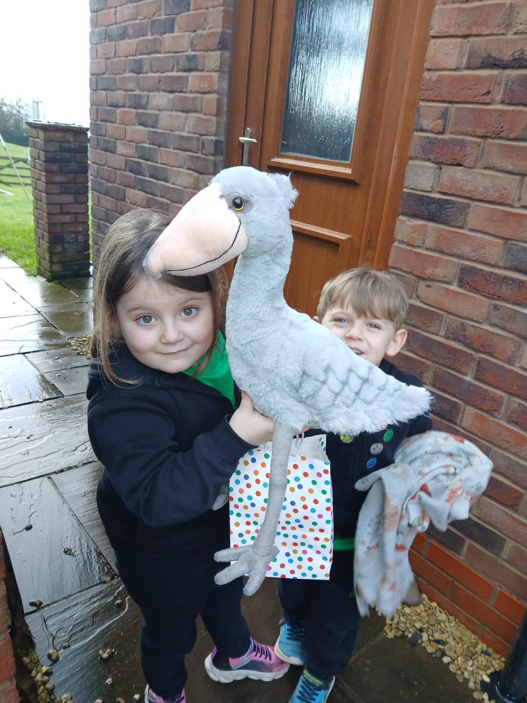 Customer photo review of Shoebill Stork Bird Soft Stuffed Plush Toy