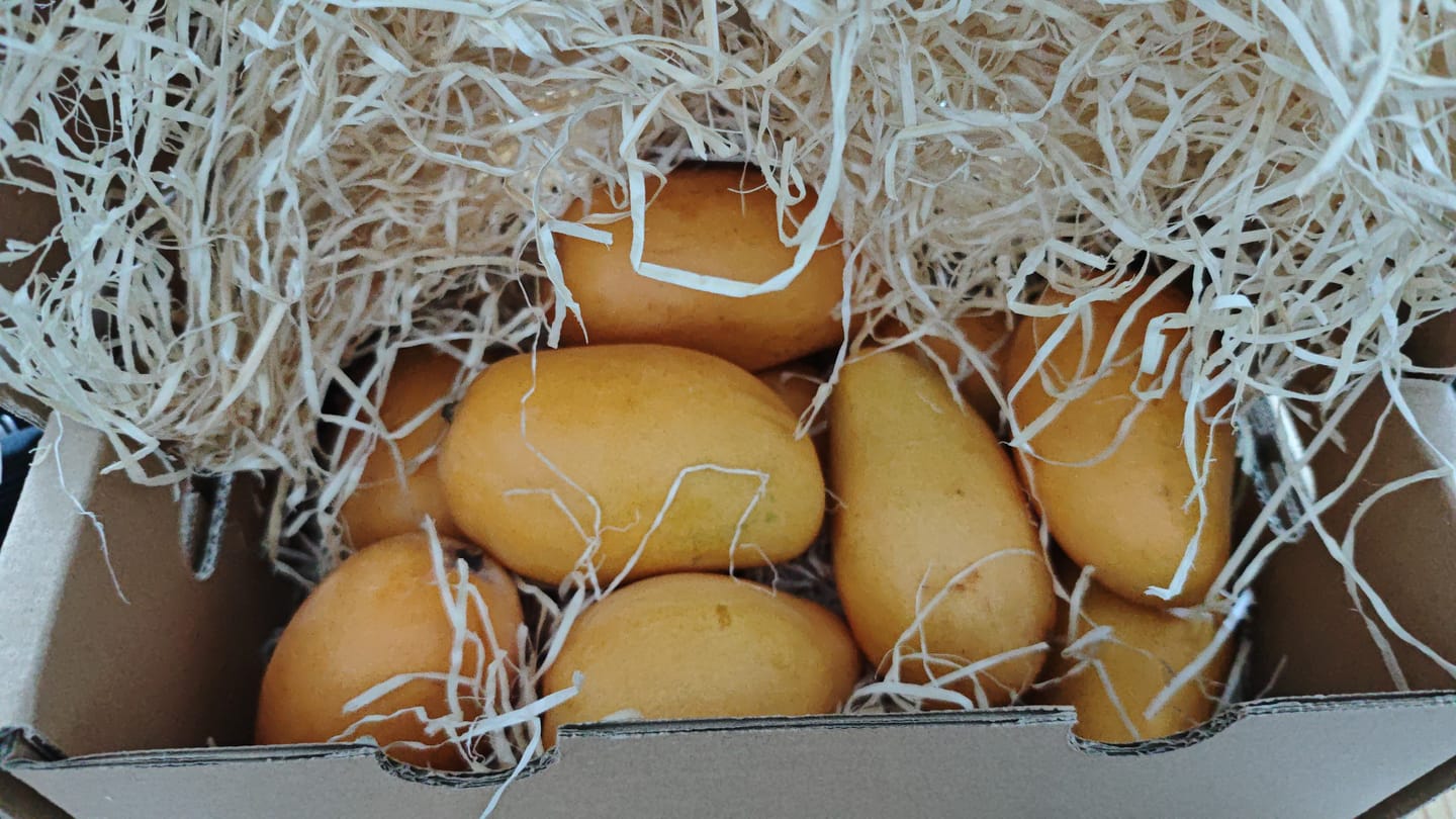 Customer photo review of Mango Honig „Ataulfo“ Bio von Joe Roman baumgereifte Flugware