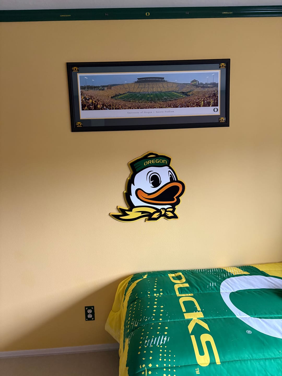 Customer photo review of Oregon Ducks 3D Vintage Metal Wall Art