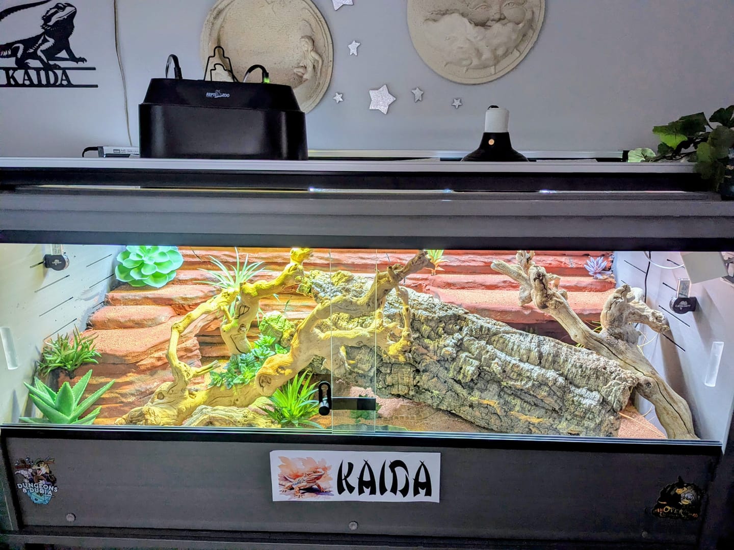 Customer photo review of Premium Cork Bark Tubes, Large