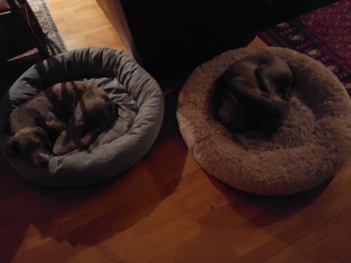 Customer photo review of CalmBed - Motverkar stress & hjälper mot ångest