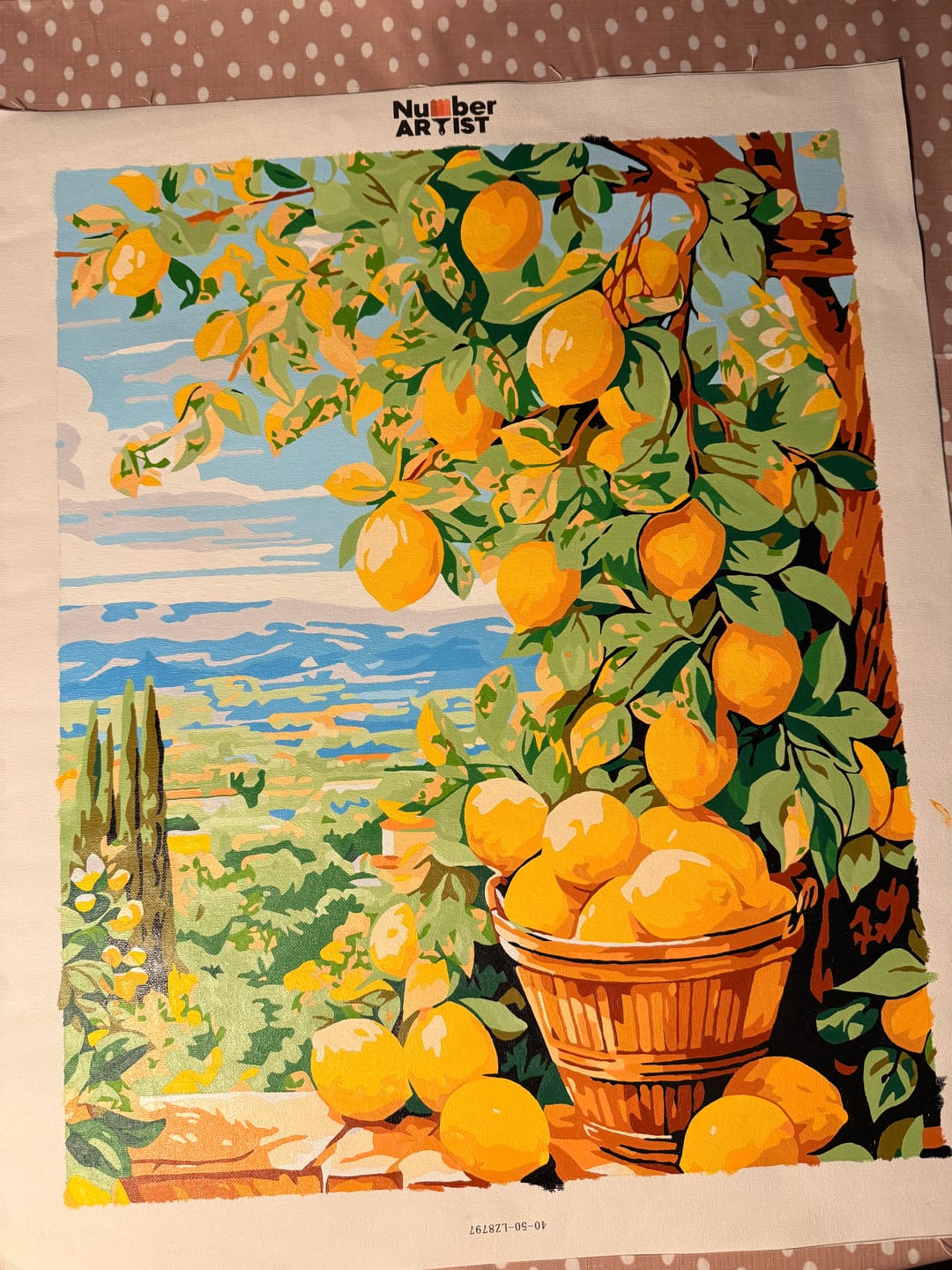Customer photo review of Bounty Lemons