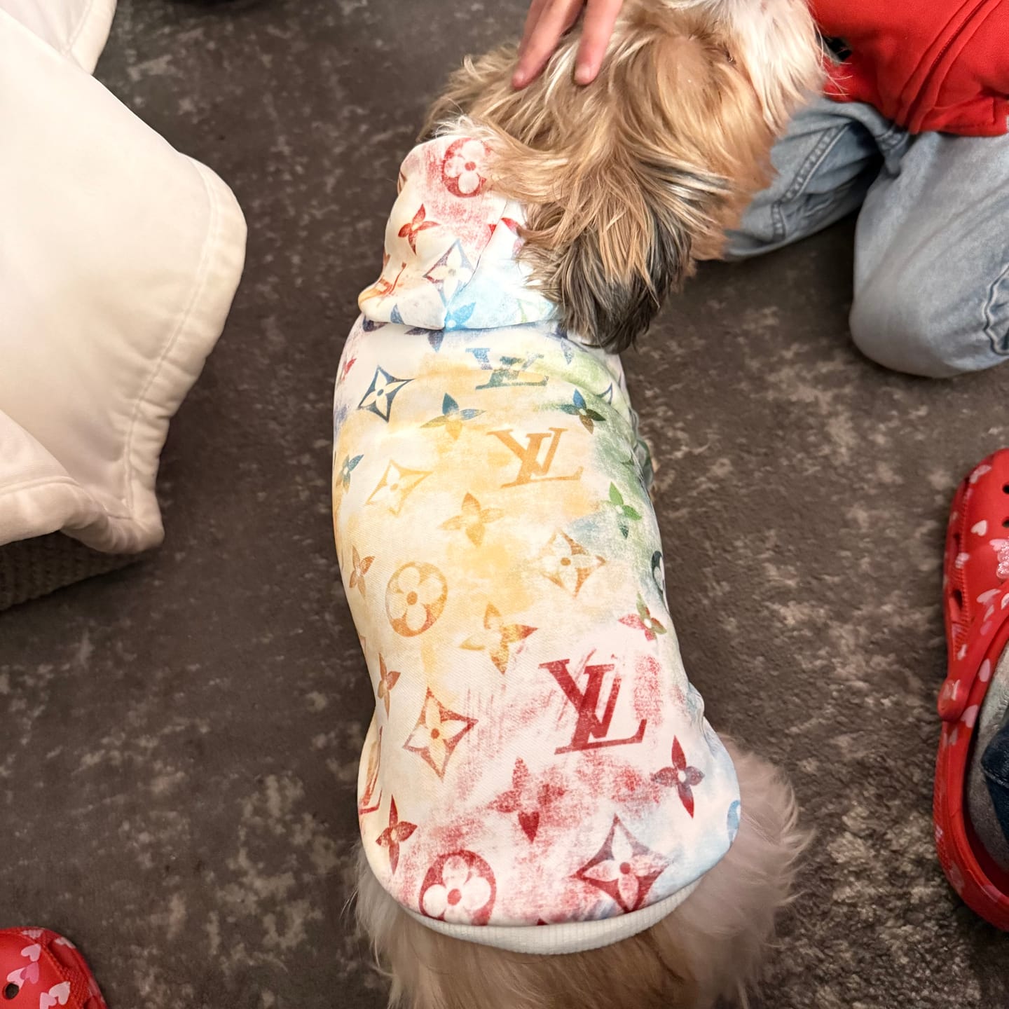 Customer photo review of Tiedye Colorful Blooming Doggo Throwie Hoodie
