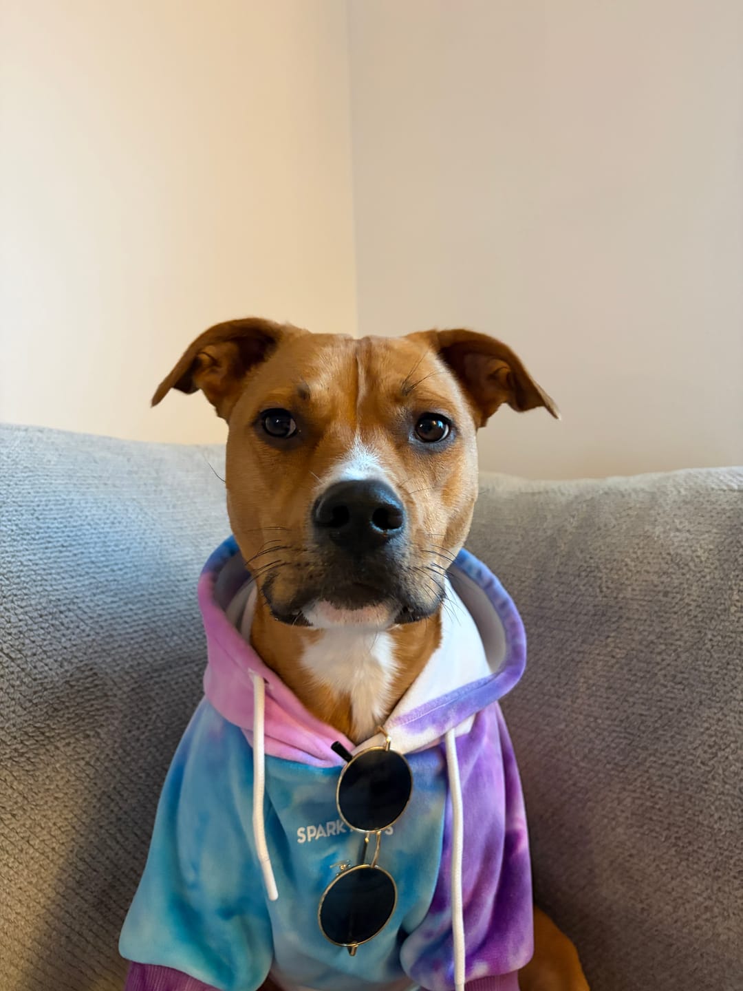 Customer photo review of Velvet Dog Hoodie - 90s Retro