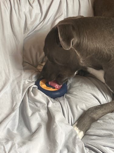 Customer photo review of FreezSwirl - Durable Stimulation Toy