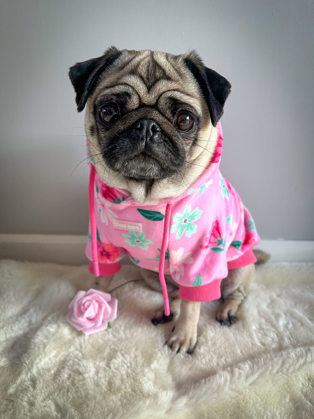 Customer photo review of Blossom Dog Hoodie - Pink